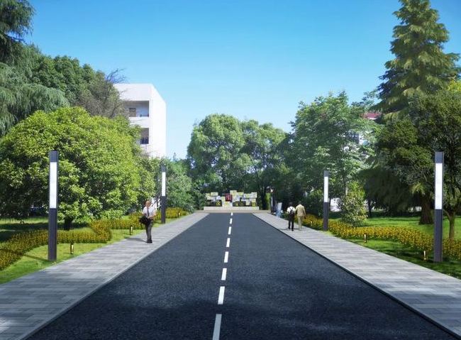 县政府大门口一花